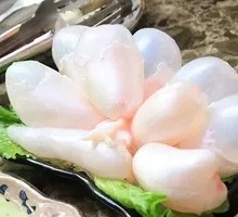 Fish Maw