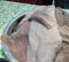Fresh Tripe