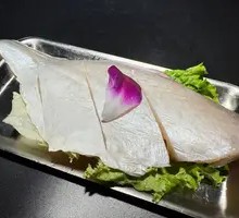 Snakehead Fish