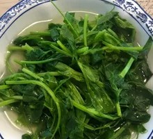 Bai Shui Pea Shoots