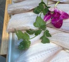 Premium Catfish Dish