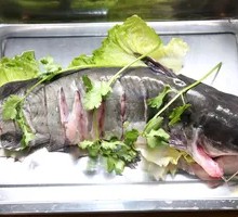 Qian Fish