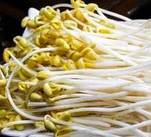 Bean sprouts