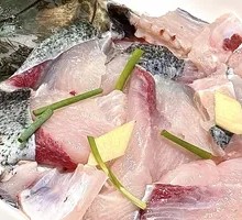 Freshly Caught Bighead Carp
