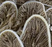 Layered Tripe