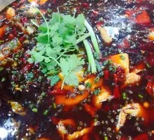 Red Pot