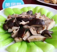 Shiitake Mushroom