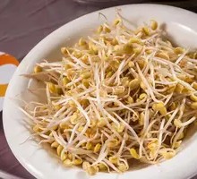 Bean sprouts