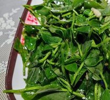 Mountain Vegetables
