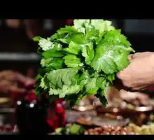Wild Mountain Vegetables