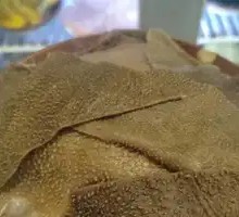 Tripe
