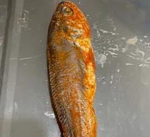 Yellow Croaker