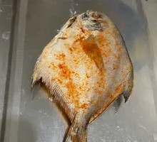 Spanish Mackerel
