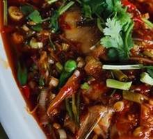 Diving Fish in Large Plate