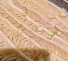 Qingcheng Tea-Steamed Tripe