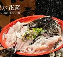 Deep-water Bighead Carp