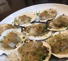 Scallop