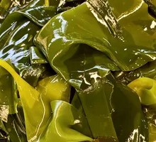 Wakame Sprouts