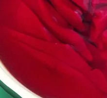 Fresh Duck Blood