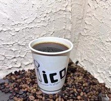 Green Plum and Bamboo