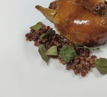 Roast Squab