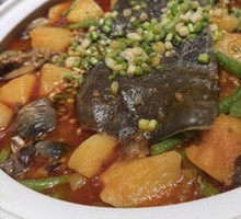 Stewed Turtle with Potatoes