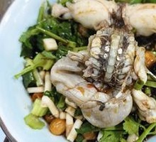 Fresh Premium Bullfrog