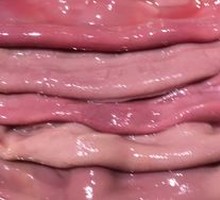 Sliced Pork Kidney with Big Knife