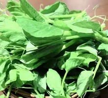 Pea Shoots