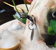 Invincible Fish Head