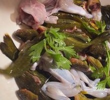 Ecological Yellow Catfish