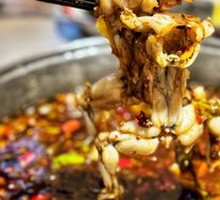 Freshly Caught Bullfrog