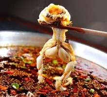 Whole American Frog Hot Pot
