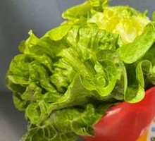 Lettuce