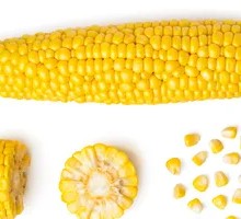 Northeast Corn