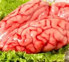 Fresh Pig Brain