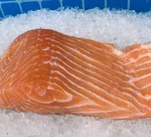 Salmon