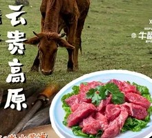 Special Fresh Yellow Beef