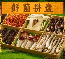 Mushroom Assorted Six Grid