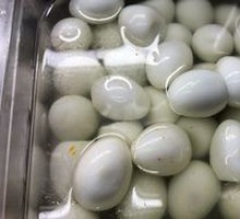 Fresh Quail Eggs