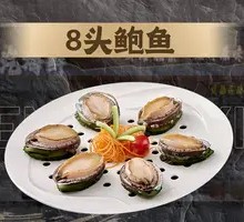 8-Head Abalone