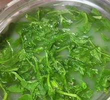 Pea Shoots