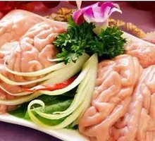 Sheep Brain