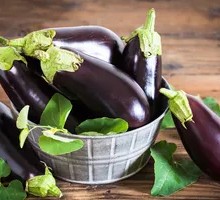 Eggplant