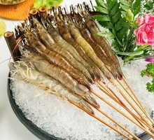 Live Freshwater Shrimp