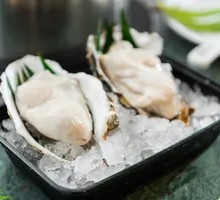 Oyster