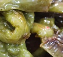 Braised Green Pepper with Tiger Stripes