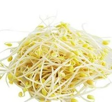 Mung Bean Sprouts