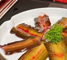 Earth Eel