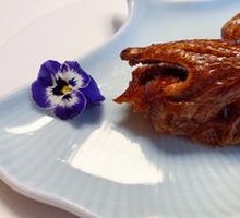 Young Pigeon with Milk